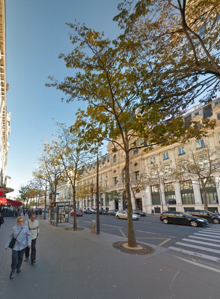 Vue en perspective du boulevard des Italiens (Paris) : trottoir avec piétons, abribus et passage piéton, rangée d’arbres, circulation automobile et grandes façades haussmanniennes sous un ciel bleu.